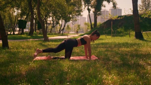 Γυμναστήριο Προπόνηση Εξωτερική Γυναίκα Ντυμένη Activewear Κάνει Ασκήσεις Στο Θερινό — Αρχείο Βίντεο