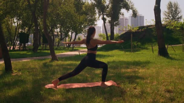 Mujer Delgada Vestida Ropa Deportiva Haciendo Yoga Mañana Parque Verano — Vídeos de Stock