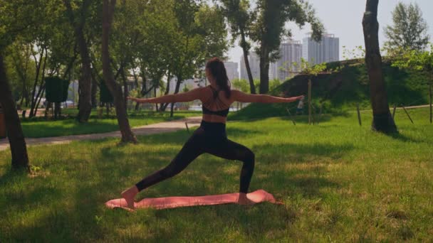 Una Donna Sta Facendo Yoga Posa Parco Circondato Alberi Verde — Video Stock