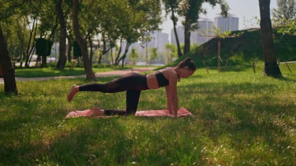 Bir Kadın Parkta Yoga Pozu Verirken Görülüyor Zarif Bir Şekilde — Stok video