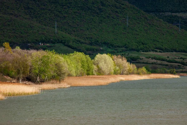 Річковий Берег Дунайського Ландшафту Румунія Стокове Зображення