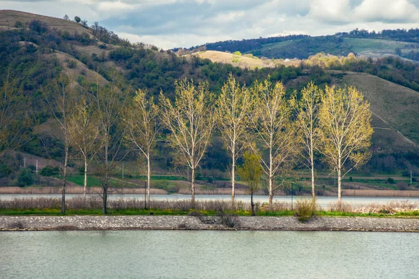 Riva Del Fiume Sul Danubio Con Betulle Paesaggio Foto Stock Royalty Free