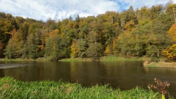 瑞根河是多瑙河的支流 — 图库视频影像