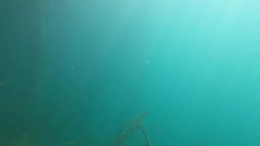 Metin için alanı olan soyut arkaplan