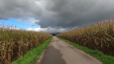 Mavi bulutlu manzara ve mavi bir su kütlesinin yanındaki yeşil çayırlar.