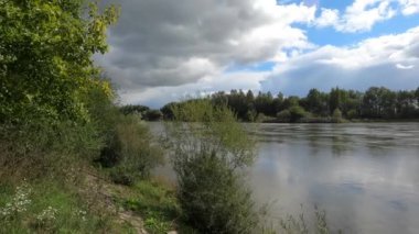 Yeşil yapraklı, mavi gökyüzü ve güneşli bir sonbahar gününde rüzgarda sallanan ağaçlarla dolu bir dere.