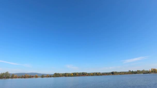 Ruisseau Feuillage Vert Ciel Bleu Arbres Balançant Dans Vent Par — Video