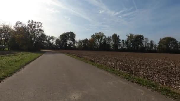 収穫した畑の向こうの田舎道をドライブ — ストック動画