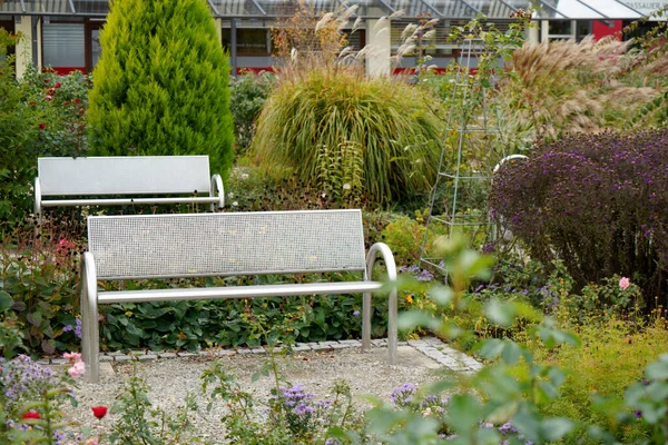 公园休息 绿树成荫 长椅休息 — 图库照片