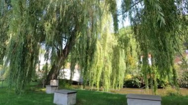 Mavi bulutlu manzara ve mavi bir su kütlesinin yanındaki yeşil çayırlar.