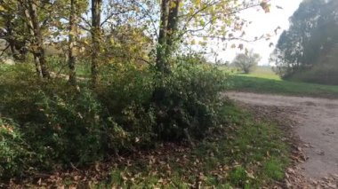 Sonbaharda toplanan tarlalar