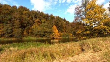 Nehirde sonbahar manzara