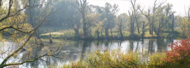 Tuna Nehri ve eski suları Regensburg yakınlarındaki Bavyera 'da fotoğraflanmıştır.