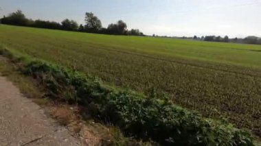 kırsal kesimde sürüş