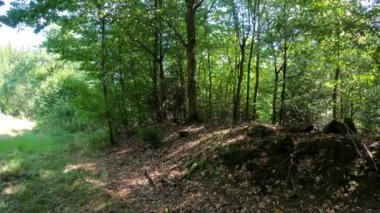 Sonbaharda yol boyunca tarlalar