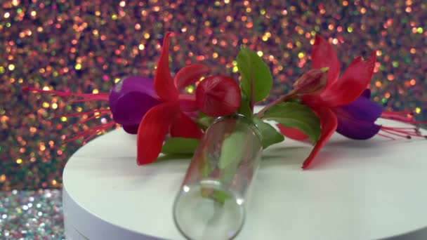 Fuchsia Flowers Glass Bottles — Stock Video