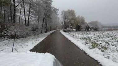 Karla kaplı tarlalarla kışın araba yolculuğu