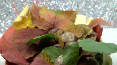 Sonbahar yaprakları, sonbahar bitkileri