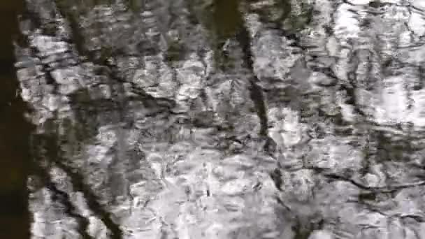 流れの澄んだ水の中での反射 — ストック動画