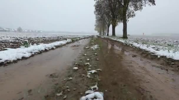 冬季积雪覆盖的田野和泥泞的土路 — 图库视频影像