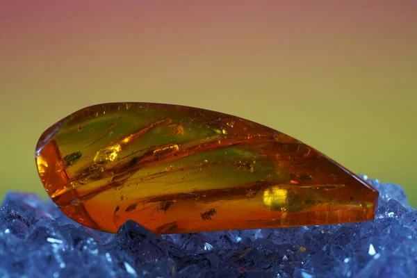 Amber Tillverkad Gul Genomskinlig Fossil Harts Med Insekter Inneslutningar Fotograferade — Stockfoto