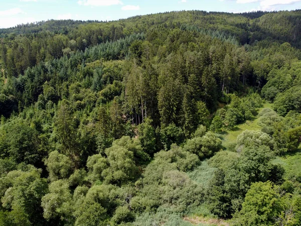Waldsterben Durch Die Klimakrise Trifft Die Wälder Deutschland Und Bayern — Stockfoto