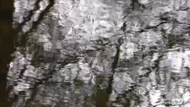 Spiegelung Klaren Wasser Eines Baches — Stockvideo