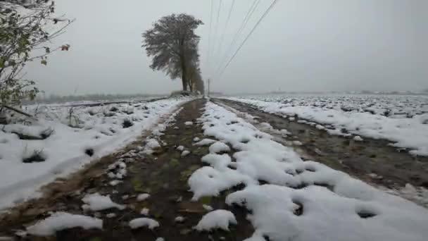 Заснеженные Поля Грязные Дороги Зимой — стоковое видео
