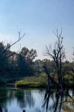 Tuna Nehri ve eski suları Regensburg yakınlarındaki Bavyera 'da fotoğraflanmıştır.