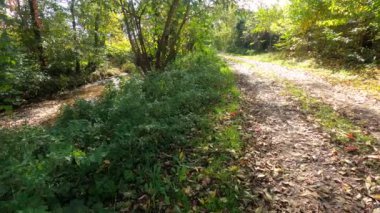 Yeşil yapraklarla, mavi gökyüzüyle ve rüzgarda sallanan ağaçlarla.