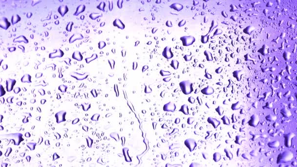 轻盈背景下的水滴在移动 — 图库视频影像