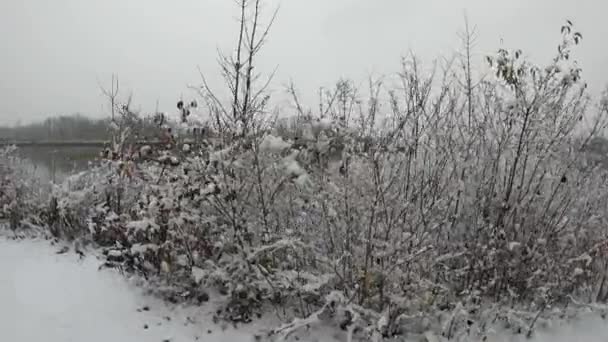 Neve Danúbio Tempo Nebuloso Inverno — Vídeo de Stock