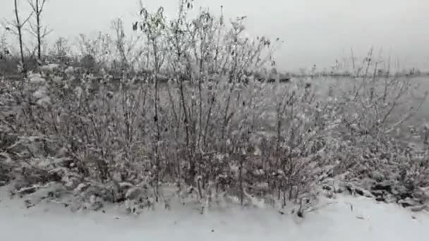 Nieve Danubio Con Niebla Invierno — Vídeos de Stock