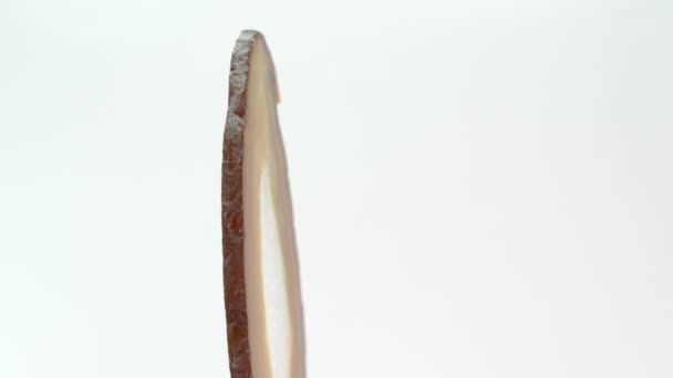 Ágata Una Piedra Semipreciosa Una Variedad Microcristalina Cuarzo Sus Hermosas — Vídeo de stock