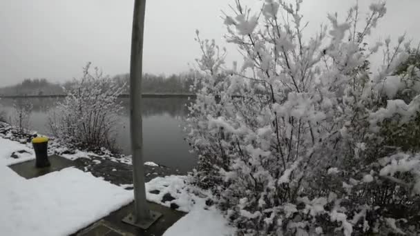 Snow Danube Foggy Weather Winter — Stock Video
