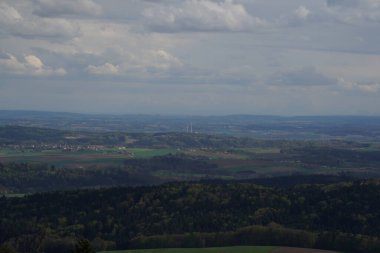 Yazın ormanın ve nehrin havadan görünüşü