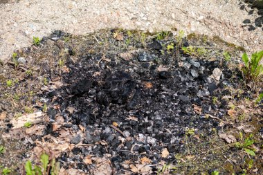 Yerdeki yeşil ve beyaz kumların yakın plan çekimi.