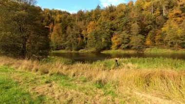 Nehirde sonbahar manzara