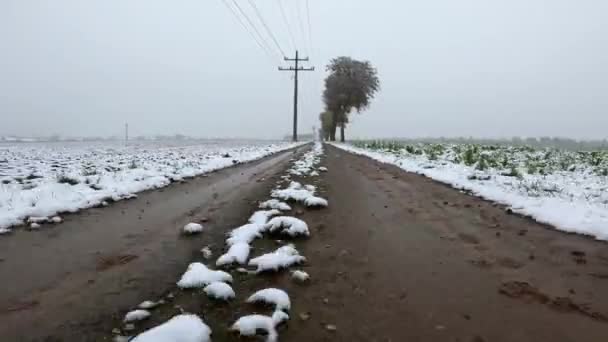 寂寞的路上 积雪覆盖着田野 — 图库视频影像