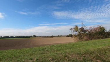 Yeşil yapraklarla, mavi gökyüzüyle ve rüzgarda sallanan ağaçlarla.