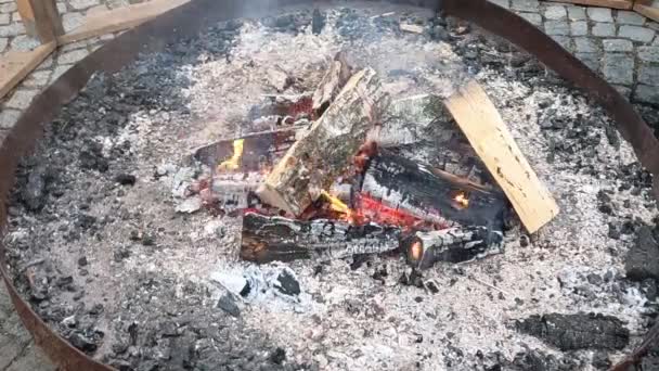 在篝火中焚烧木头 — 图库视频影像
