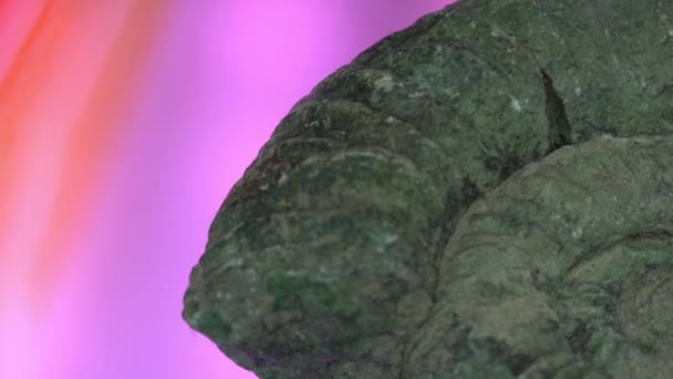 Piedra Preciosa Giros Artificiales Naturales — Vídeo de stock