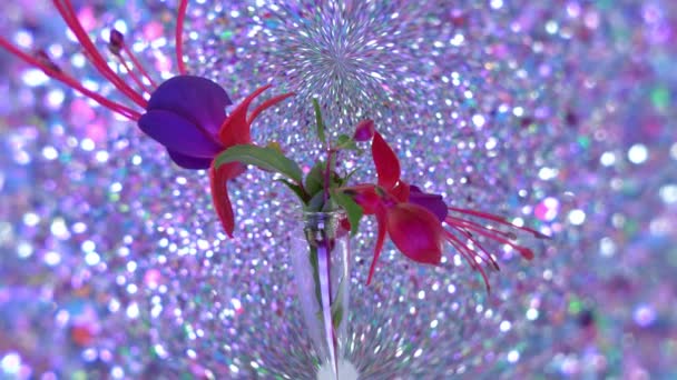 蒲公英的编辑和扭曲是黄昏的报春花植物 — 图库视频影像