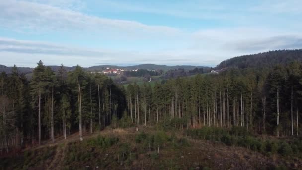 Wymieranie Lasów Ponowne Zalesianie Konieczne Względu Zmiany Klimatyczne Bawarii — Wideo stockowe