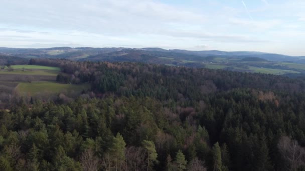Bavyera Daki Ormanın Havadan Çekilmiş Fotoğrafı Yoğun Iğne Ağaçları Yeşil — Stok video