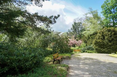 Dinlenmek için yemyeşil ve dinlenmek için banklara park edin.