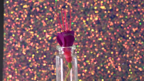 Kwiaty Fuksji Szklanych Butelkach — Wideo stockowe