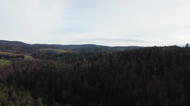 Bavyera Daki Ormanın Havadan Çekilmiş Fotoğrafı Yoğun Iğneli Ağaçlar Açık — Stok video