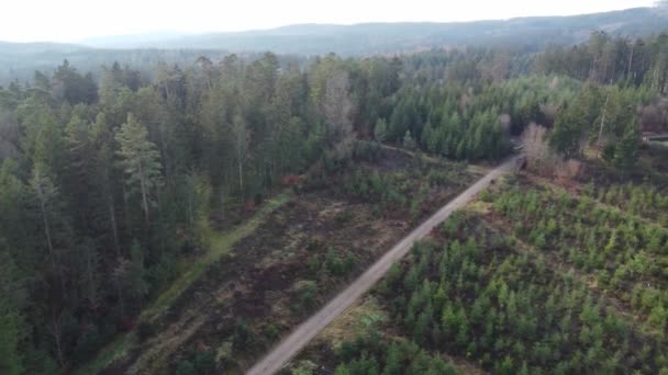巴伐利亚因气候变化而必须进行的森林砍伐和再造林 — 图库视频影像