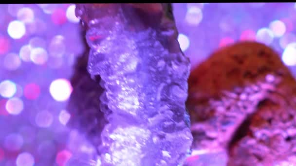 Cuarzo Llamado Piedra Gema Con Cristales — Vídeo de stock